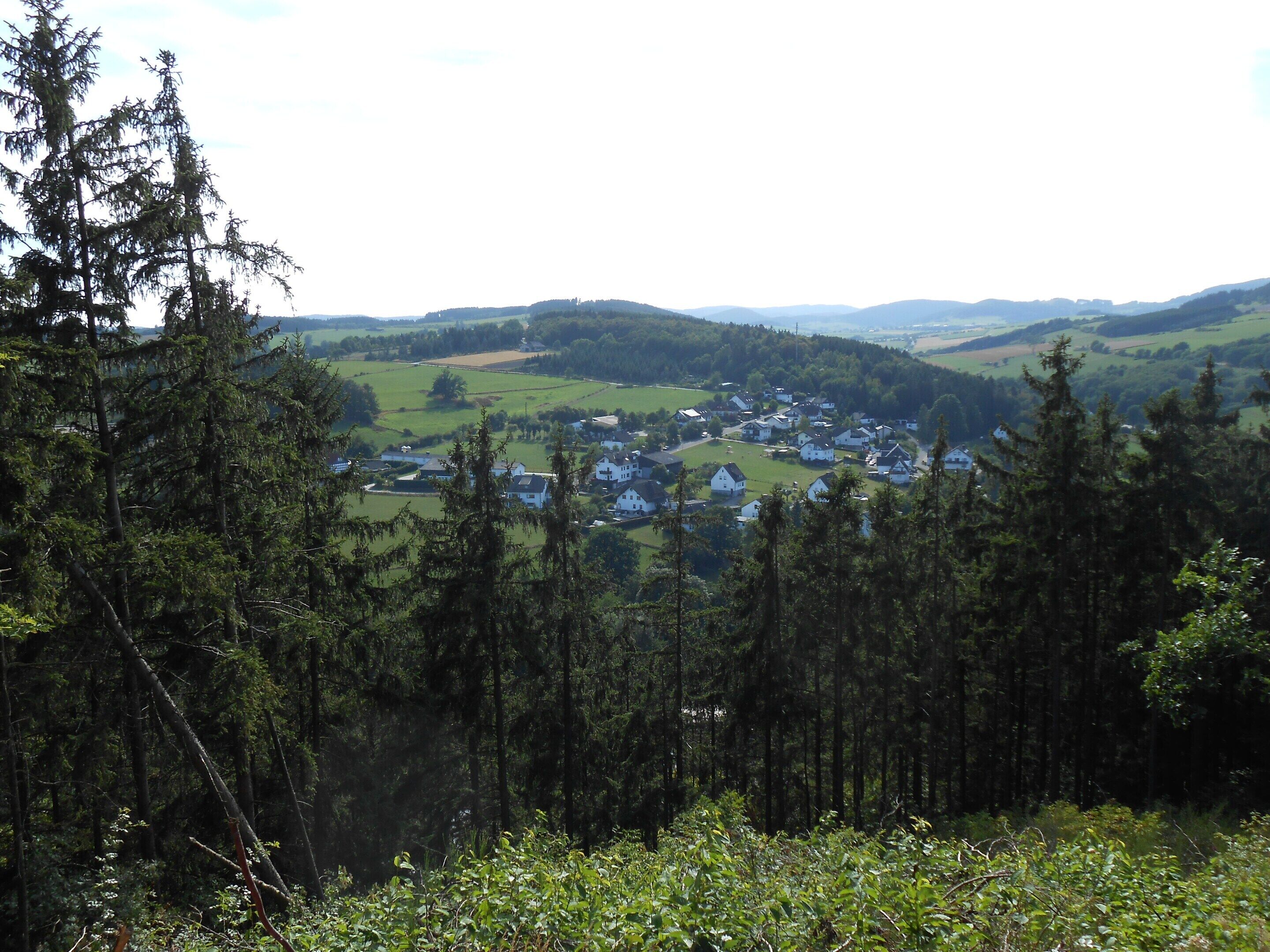 A rural village with houses surrounded by dense forest and rolling hills.