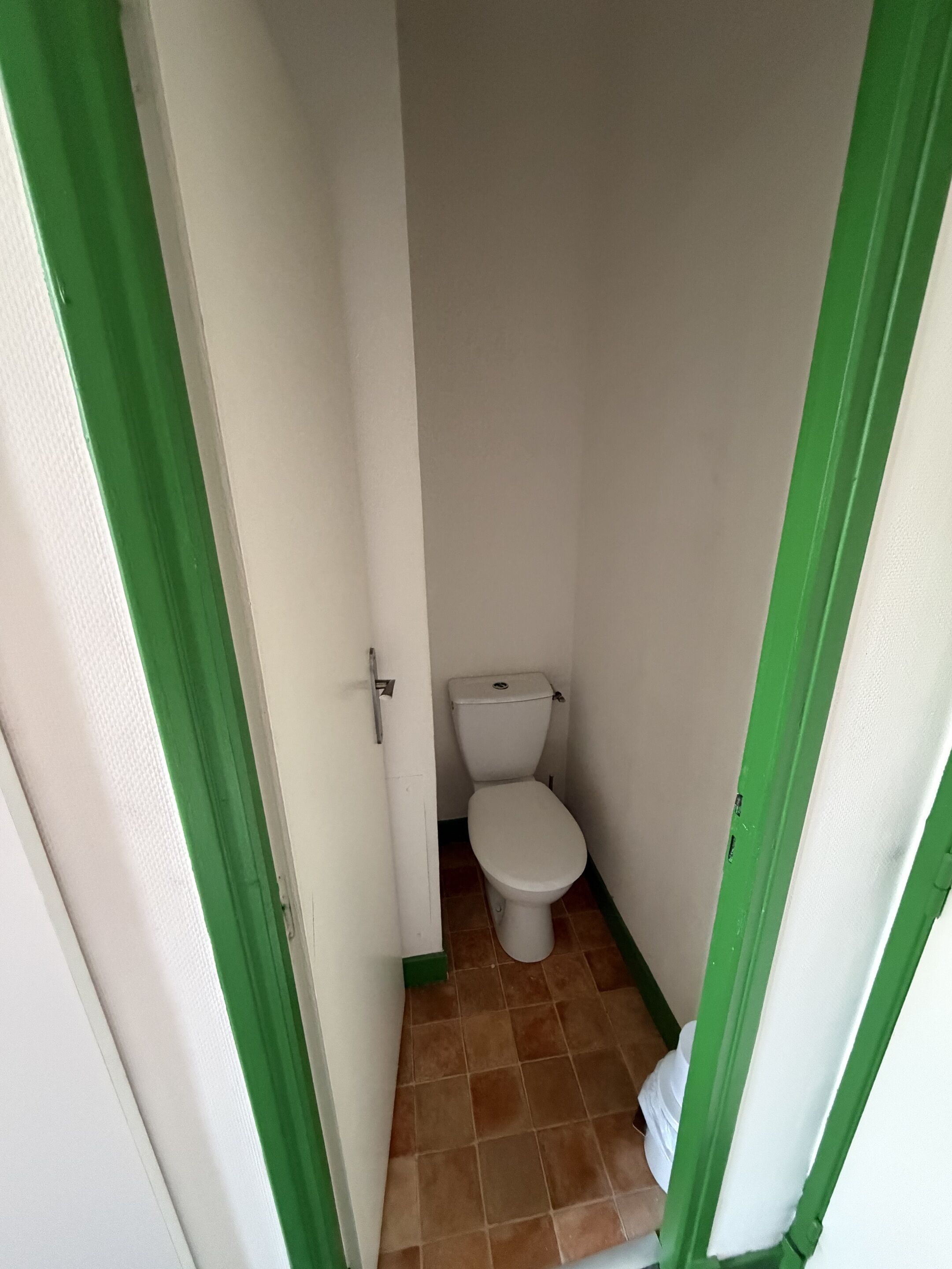 A small, narrow bathroom with a white toilet and green-painted walls and floor.