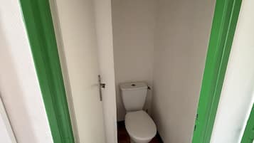 A small, narrow bathroom with a white toilet and green-painted walls and floor.