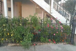 Détail de l’extérieur