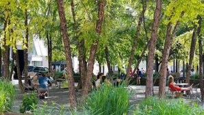 Un espace extérieur aménagé avec des tables et des chaises, installé sous des arbres et entouré de verdure.