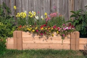 Terrain de lâhĂ©bergement