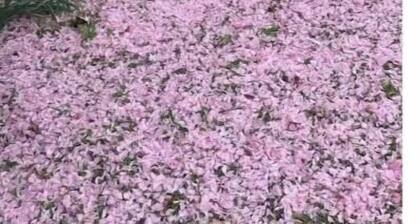 Spacious 3-bedroom apartment in gorgeous Atlantic City with AC