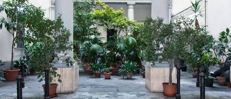 Terrein van de accommodatie