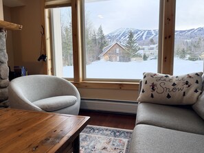 Smart TV, fireplace, books, stereo