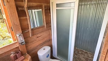 Ducha, toallas, papel higiénico