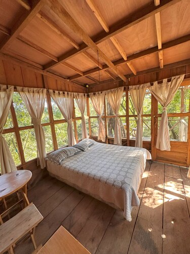 Casa de los árboles