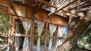 Eine Holterrasse mit einer Pergola, großen Fenstern mit Vorhängen und einem in die Struktur integrierten Baumstamm.