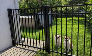 Una reja de metal negro en un patio con un muro blanco y una zona verde.
