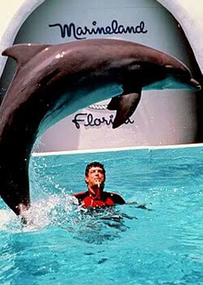 Marineland is about 12–14 minutes from 33 Putter along scenic A1A.