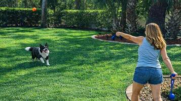 A person playing with a dog in a well-maintained grassy area with trees and a hedge in the background.