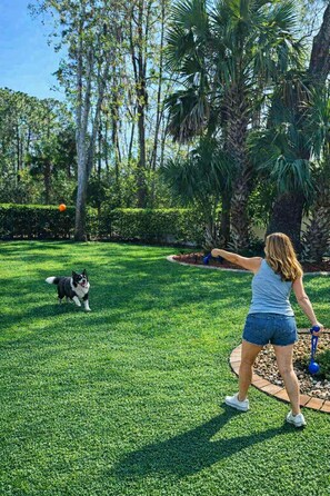 A person playing with a dog in a well-maintained grassy area with trees and a hedge in the background.