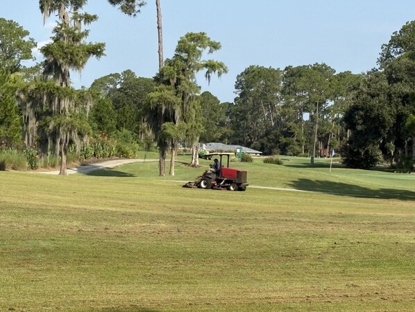 A golf course with a red golf cart on the fairway, surrounded by trees and a clear sky.