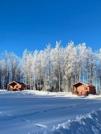 Exterior. The White Tail Cabin - Bear Creek Cabins