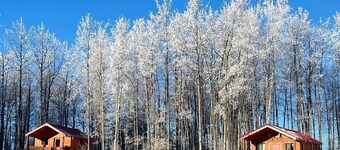 The White Tail Cabin - Bear Creek Cabins
