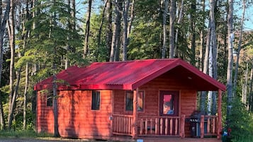 A small log cabin with a red roof, a porch, and a chimney, surrounded by a forest.
