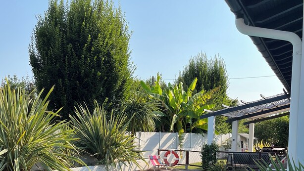 A swimming pool surrounded by various plants and a covered area with a pergola.