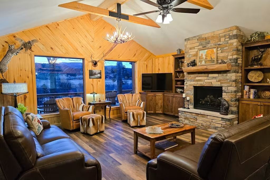 TV, fireplace, books