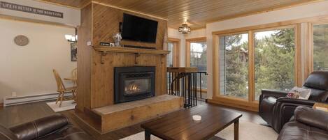 TV connectée, cheminée, livres