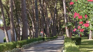 A tree-lined pathway with a stop sign and a cyclist. - Gorgeous apartment in Porec with WiFi (Porec)