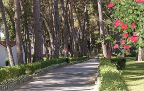 Property grounds - Gorgeous apartment in Porec with WiFi (Porec)