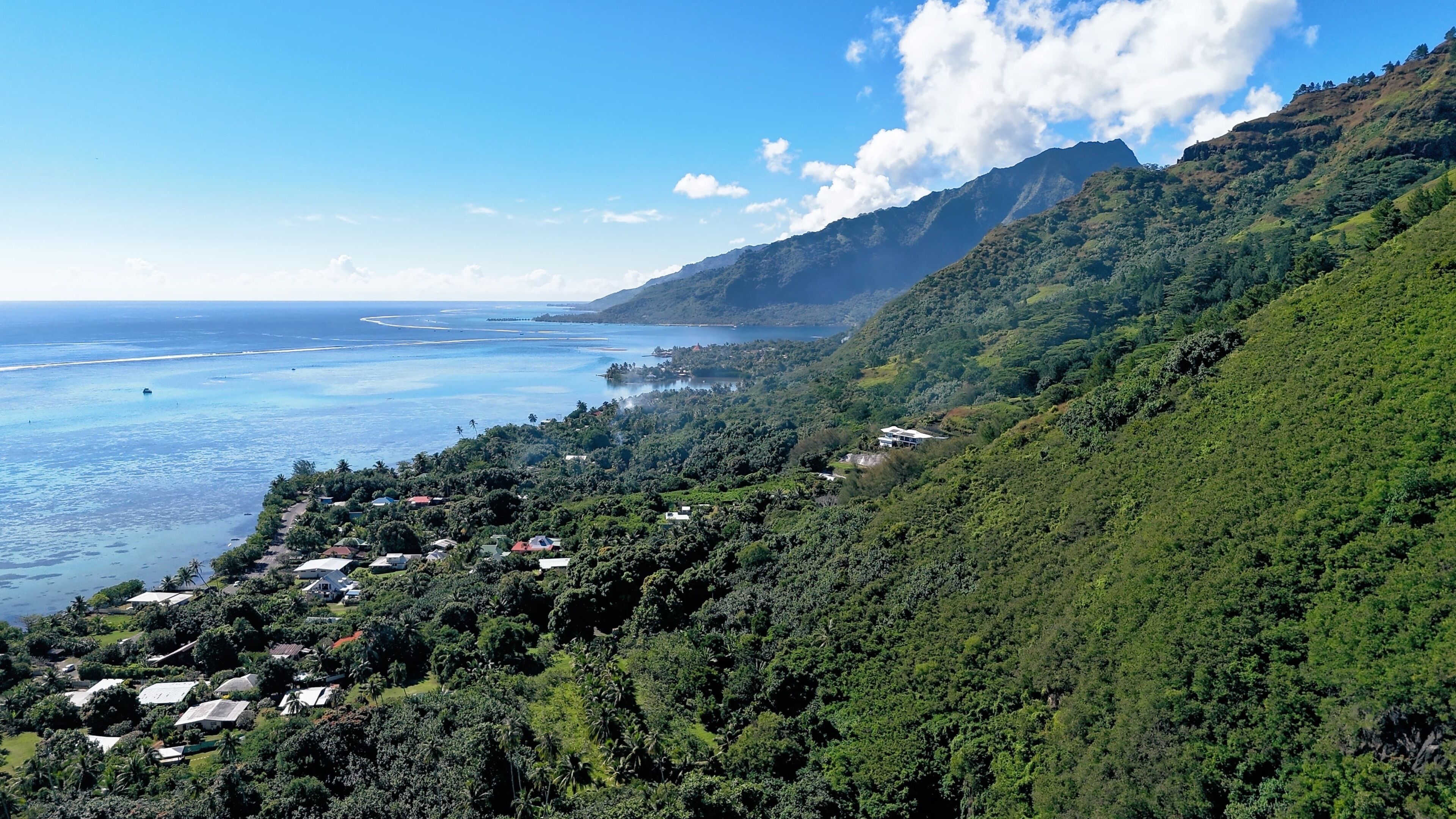 A coastal area with lush greenery, a beach, and a mountainous backdrop.