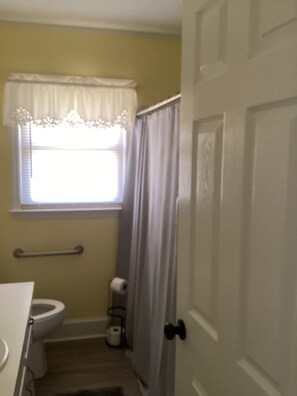 Shower, hair dryer, towels, toilet paper