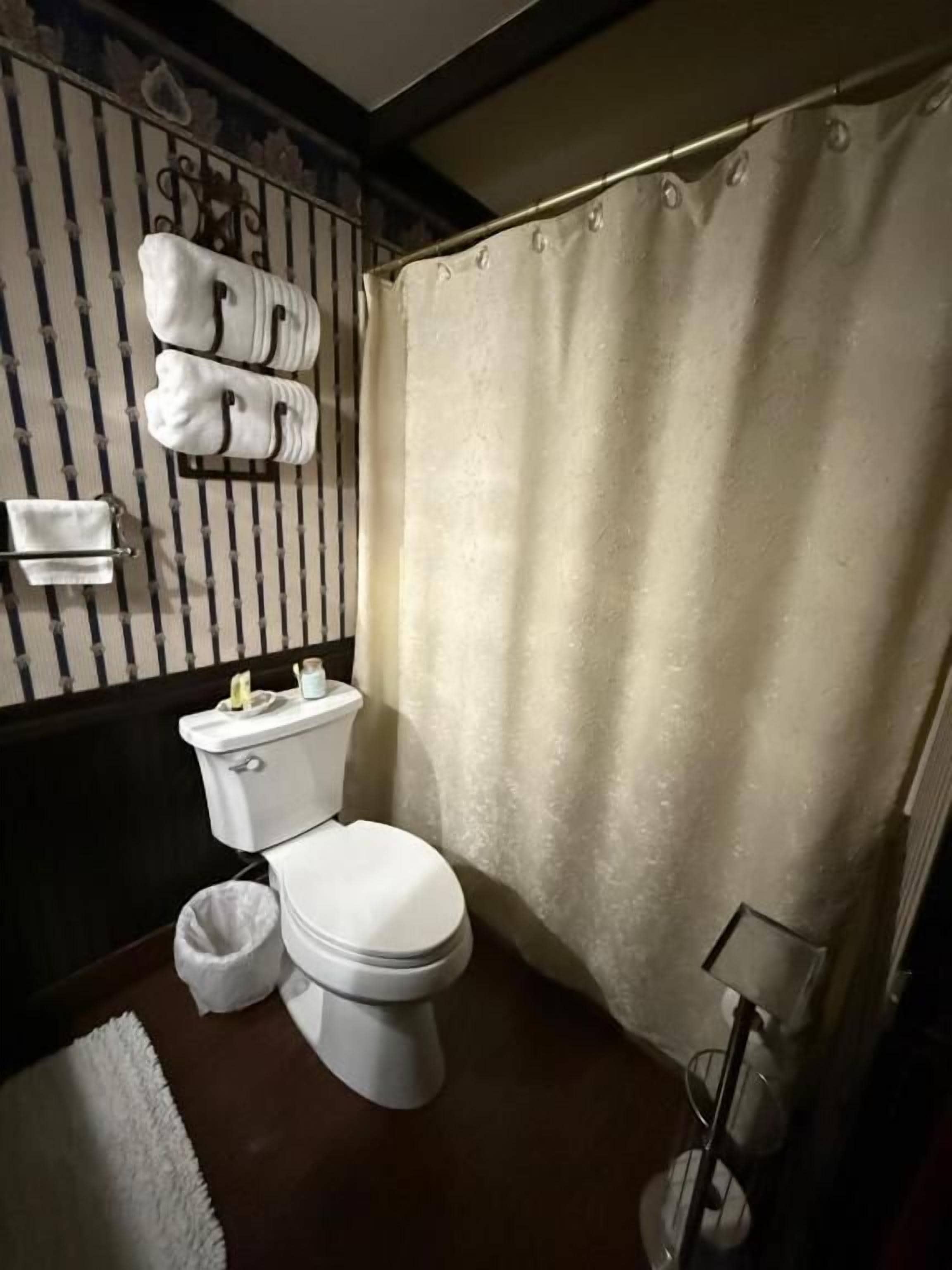 A bathroom with a toilet, a shower curtain, a towel rack with towels, a trash bin, and a floor lamp.