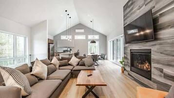 Télévision, cheminée, espaces bureaux