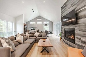 Télévision, cheminée, espaces bureaux