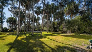 A park with tall trees, a picnic table, and a grassy area. - The Marsh House (Brunswick)