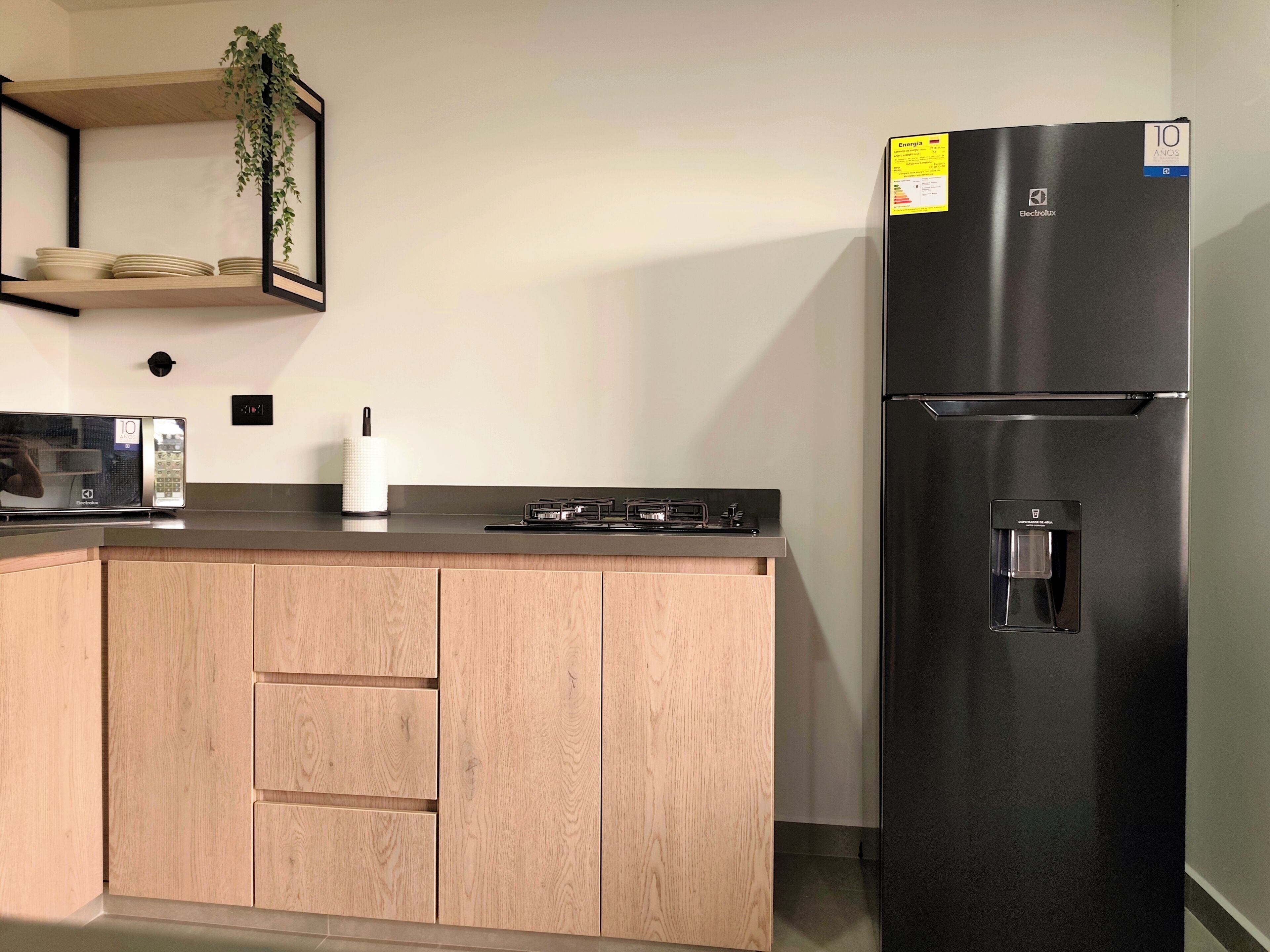 A modern kitchen with a black refrigerator, a built-in stove, and a microwave. There is a wooden cabinet with a plant on the shelf above it.