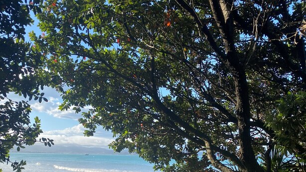 A wooden pathway leading to a sandy beach with a clear view of the ocean and distant mountains.