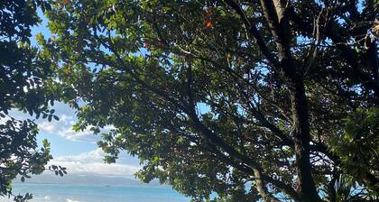 Seapoint Cottage, Luxury Accommodation