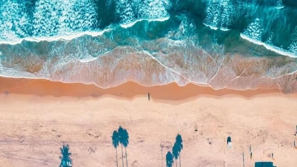 Une plage où les vagues déferlent sur le rivage, des palmiers et une personne debout dans l’eau.