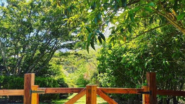 Una verja de madera en un jardín exuberante con follaje denso y un cielo despejado.
