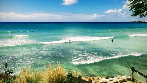A beach with clear turquoise water, a wooden walkway, and some vegetation. - BK Villas Light House 4br/4ba sleeps 8 (Enterprise)