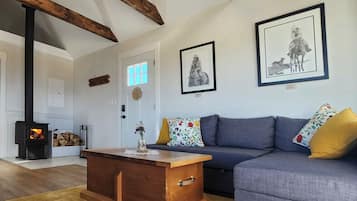 Cheminée, livres, chaßne hi-fi