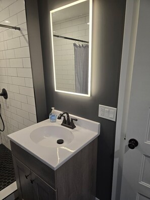 Bidet, soap, toilet paper - Huge 2 Bedroom with extra sleeping for up to 4 (Grand Rapids)