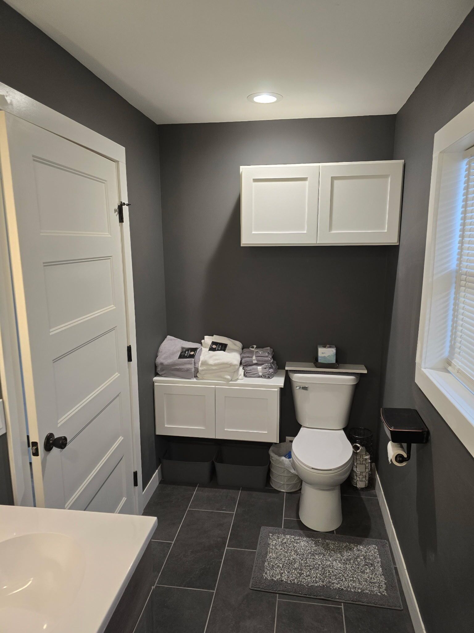 Hair dryer, bidet, towels, soap