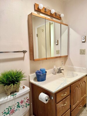 Hair dryer, towels, soap, toilet paper - Teason Hollow Farmhouse - Peaceful Rural Getaway (Preston)