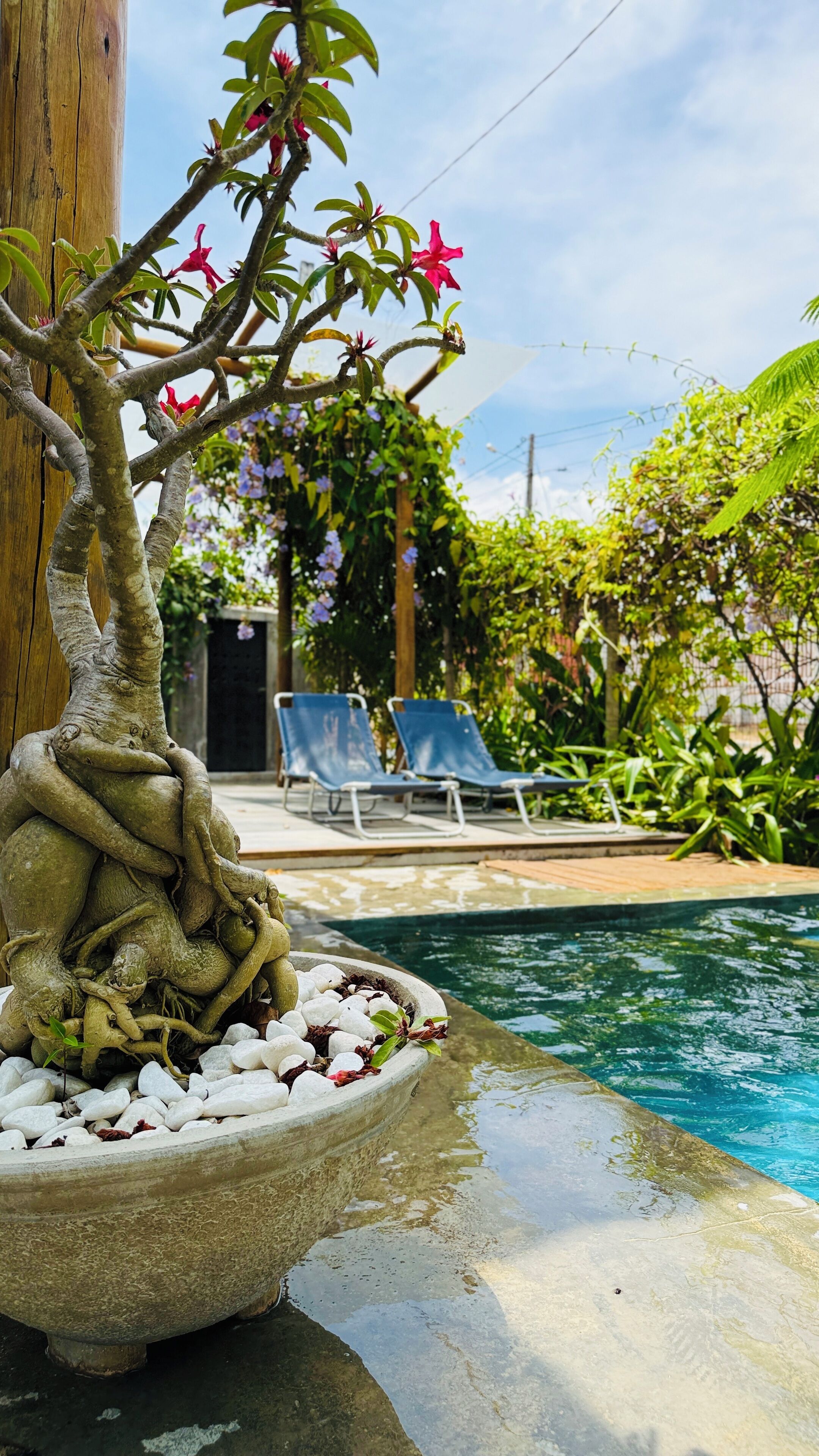 Casa família, vista para o jardim | Piscina | Piscina externa