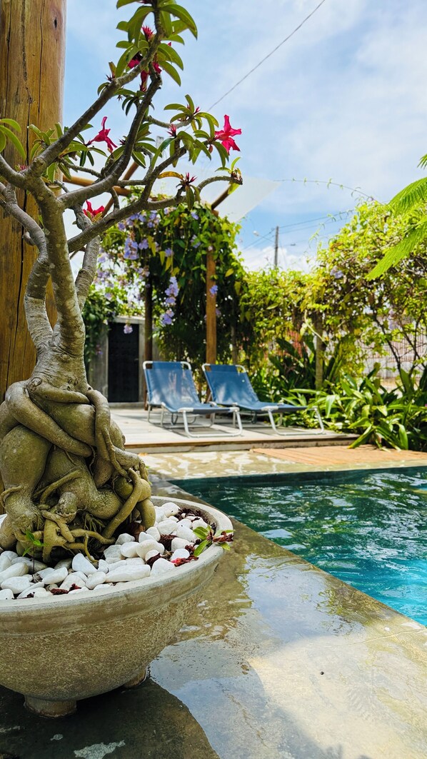 Maison familiale, vue sur le jardin | Piscine | Piscine extérieure