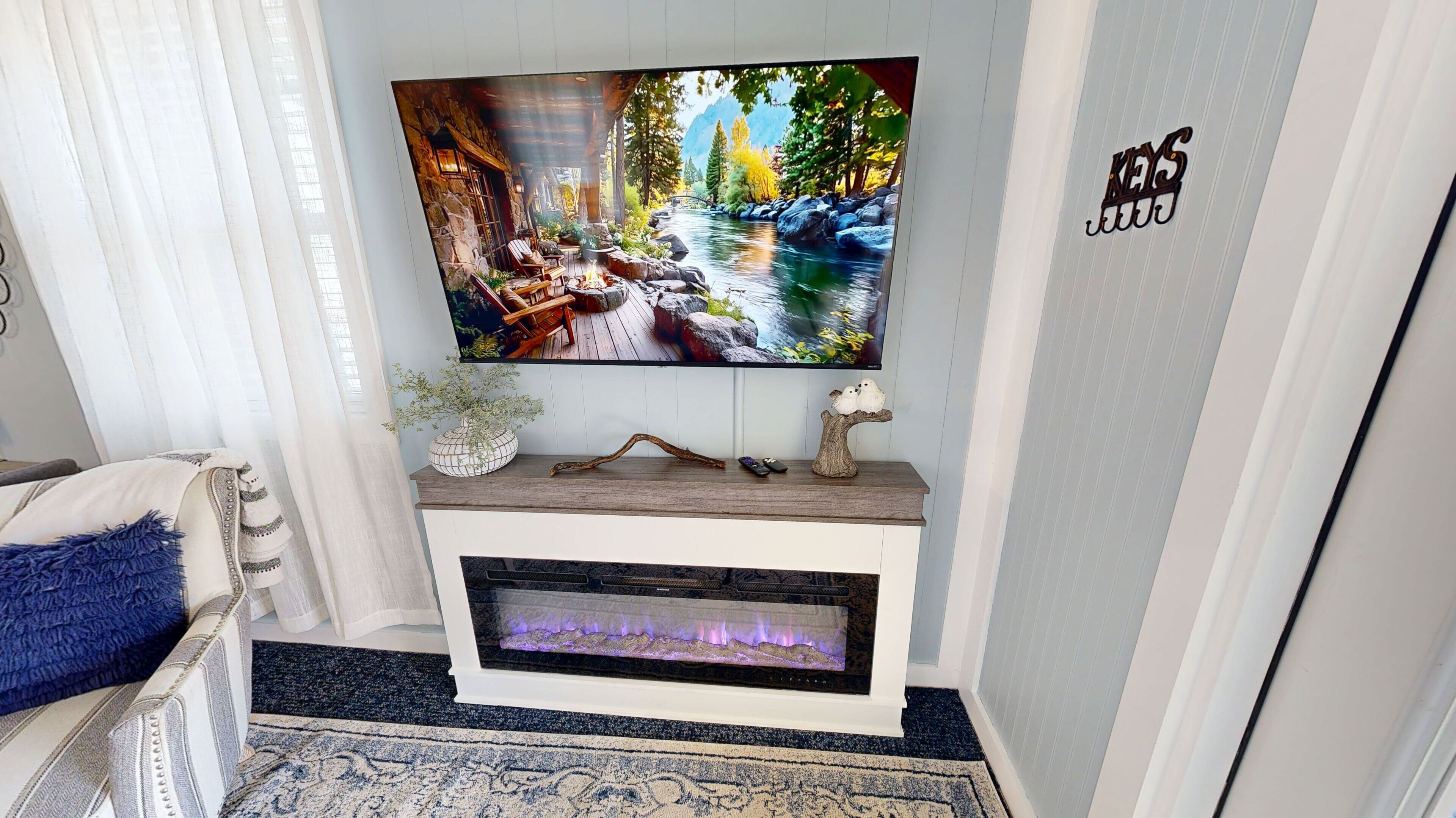 Smart TV, fireplace, books