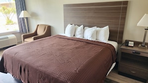 Une chambre d’hôtel avec un grand lit, une chaise, un bureau avec un téléphone et un appareil de climatisation.