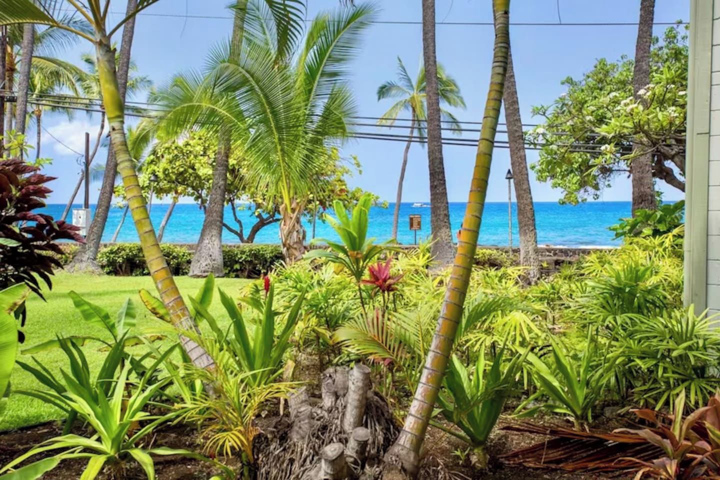 Un giardino tropicale con vista sull'oceano.