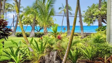 Un giardino tropicale con vista sull'oceano.