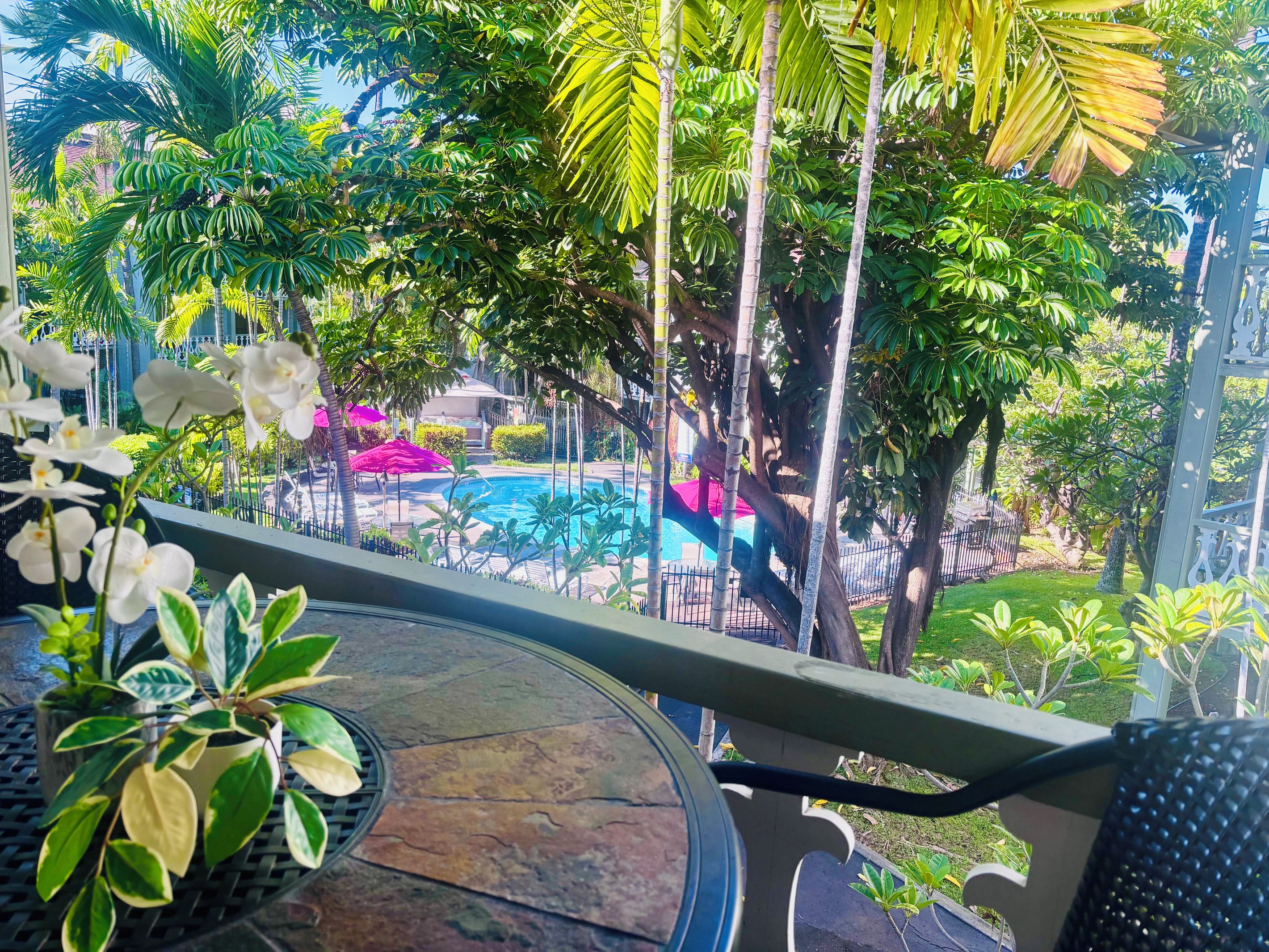 A balcony with a view of a swimming pool, surrounded by lush greenery and potted plants.