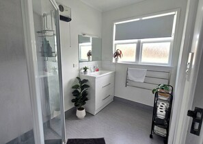 Regadera, secadora de cabello, toallas, jabón 