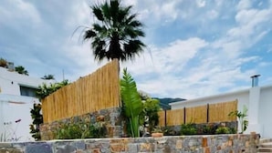 Een terras met stenen bestrating, een stenen muur en een palmpijlboom.